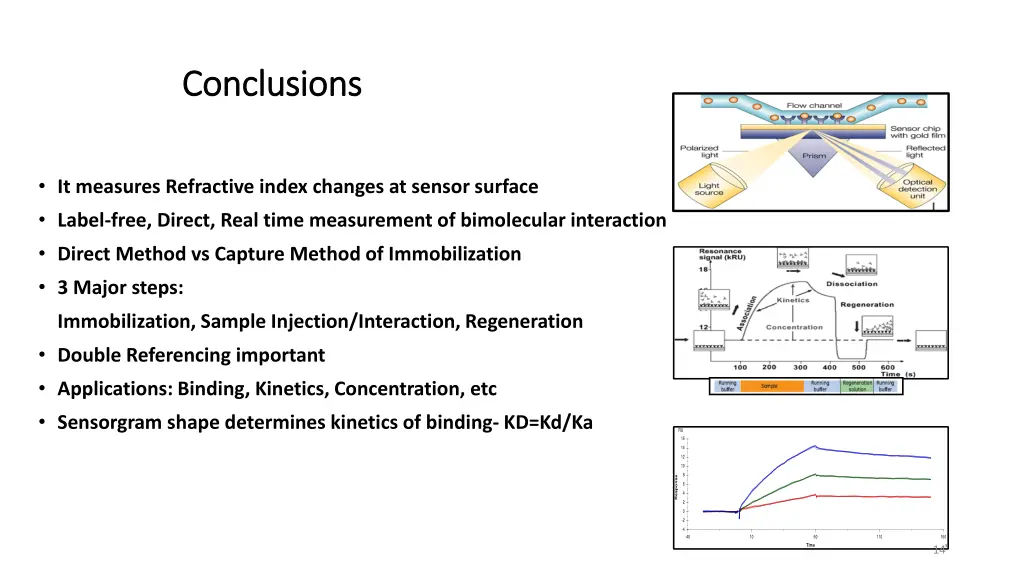 conclusions conclusions