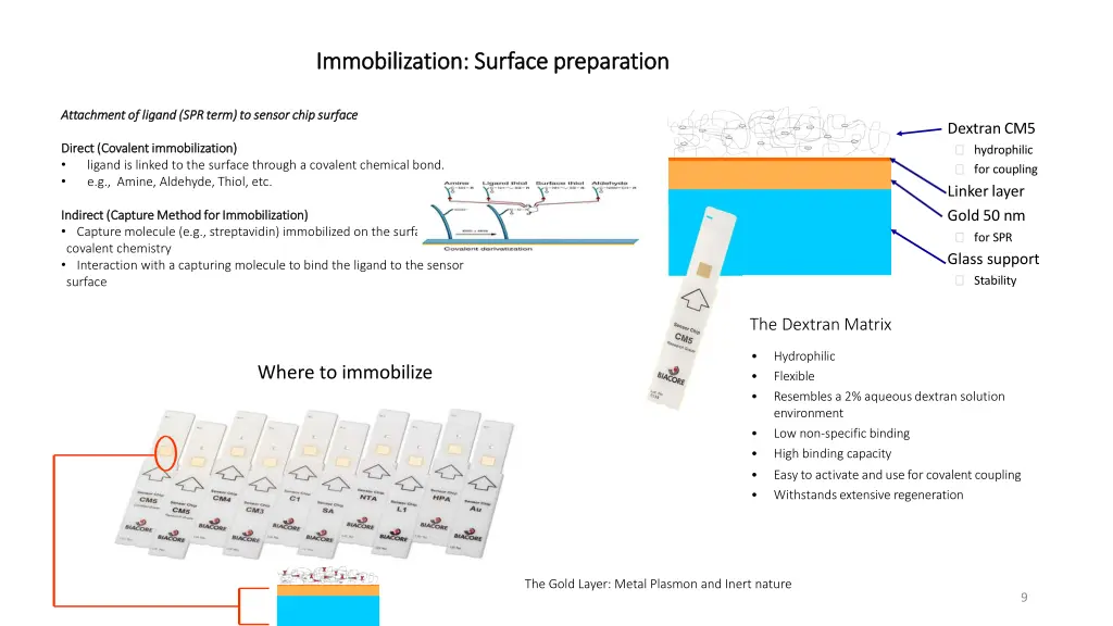 immobilization surface immobilization surface