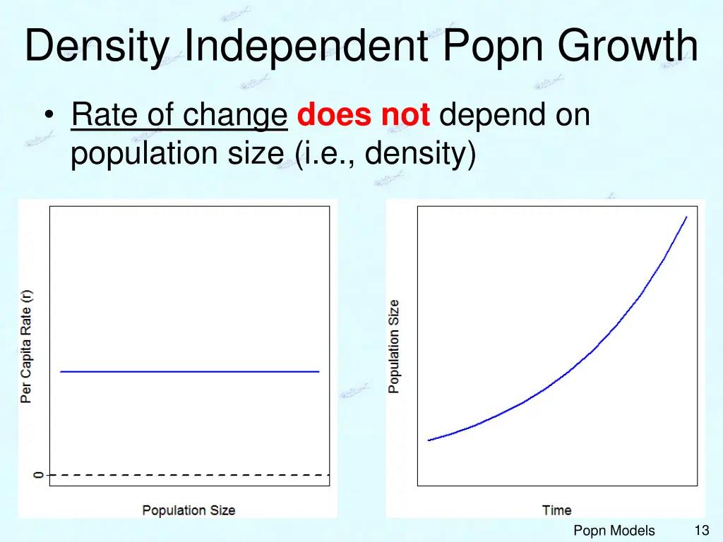 density independent popn growth