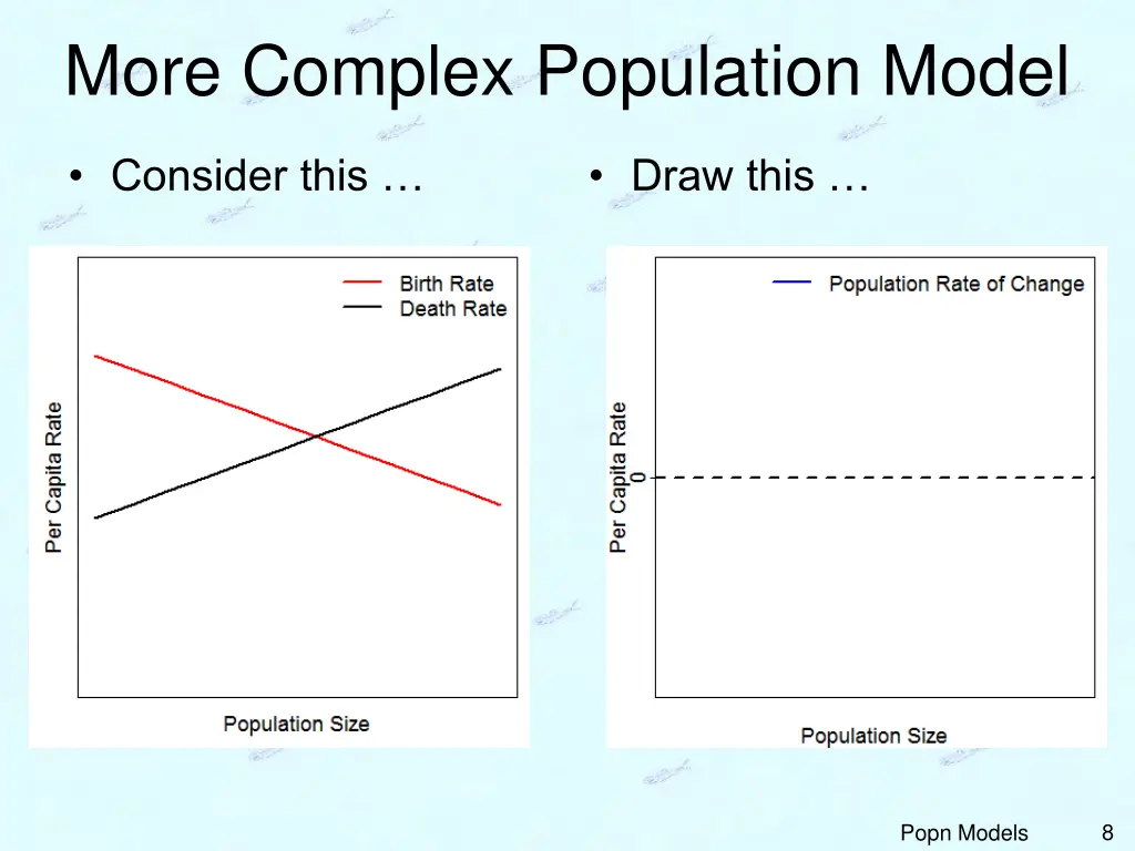 more complex population model 1