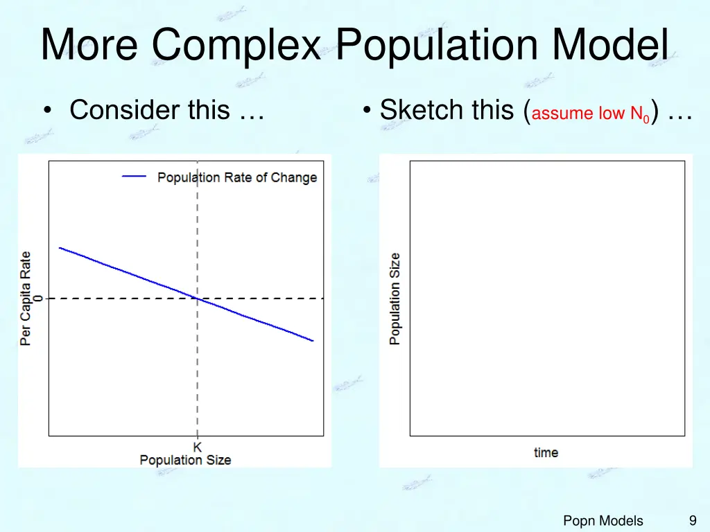 more complex population model 2