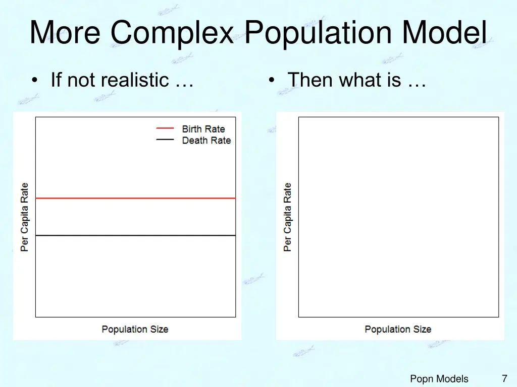 more complex population model