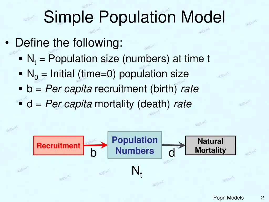 simple population model 1