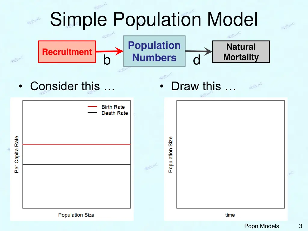 simple population model 2