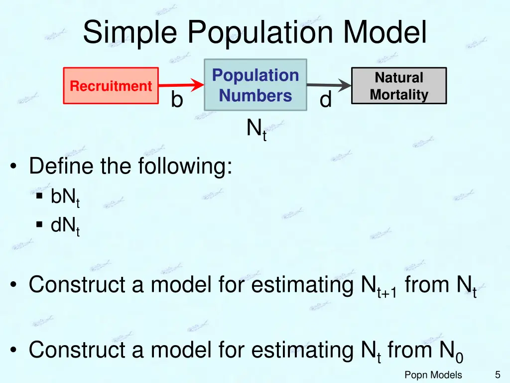 simple population model 4