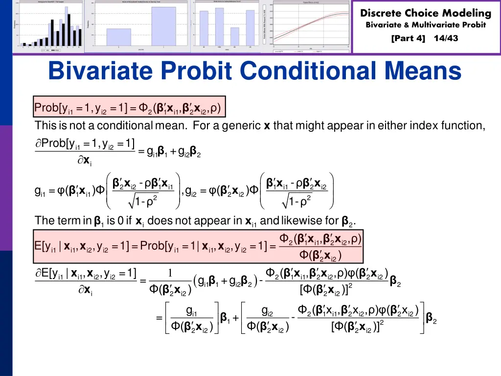 discrete choice modeling bivariate multivariate 13