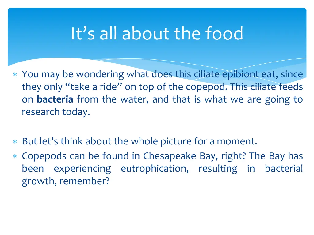 it s all about the food