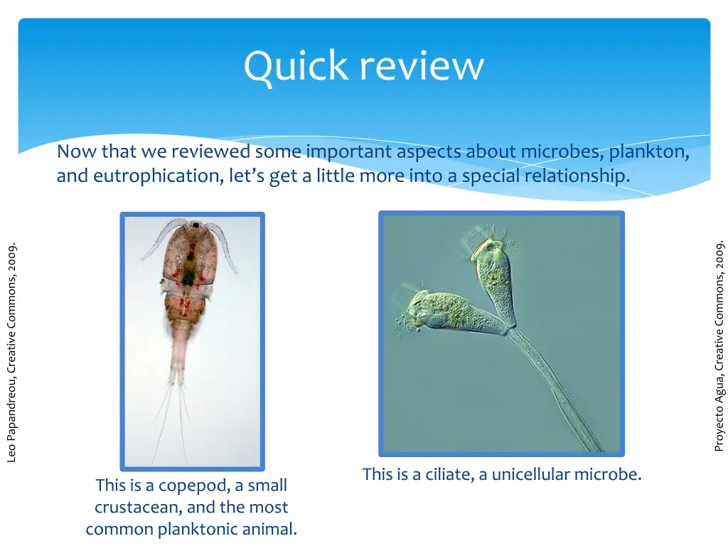 quick review