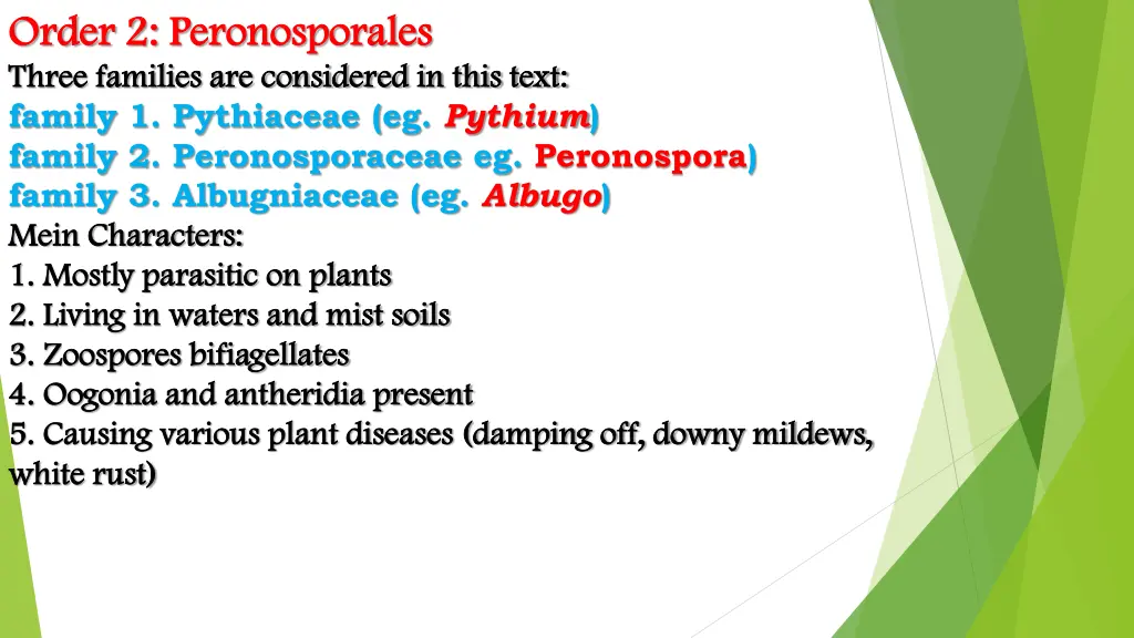 order order 2 2 peronosporales peronosporales