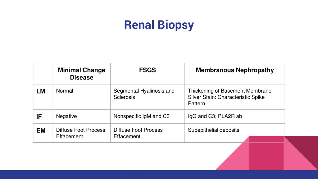 renal biopsy