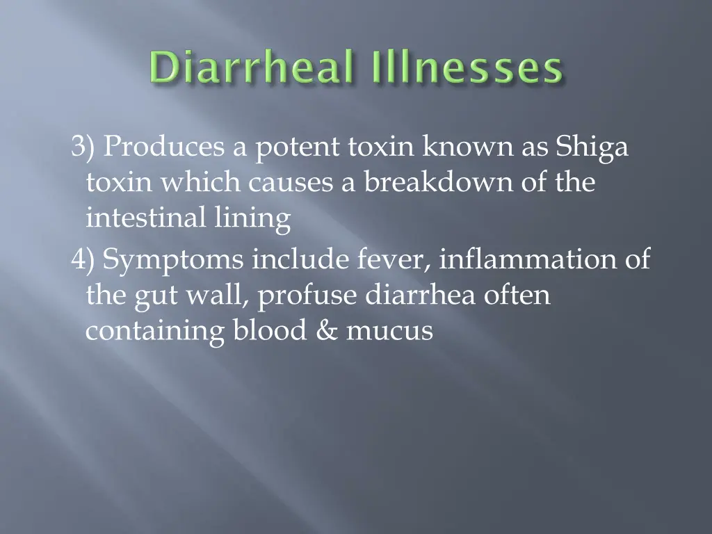 3 produces a potent toxin known as shiga toxin
