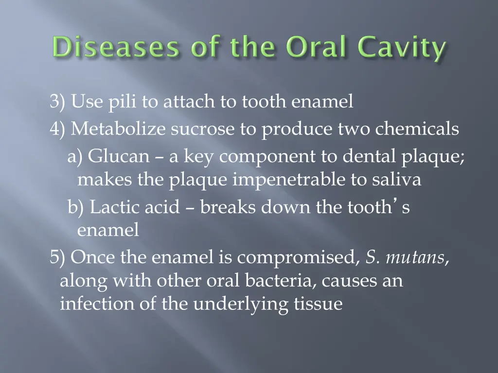 3 use pili to attach to tooth enamel 4 metabolize