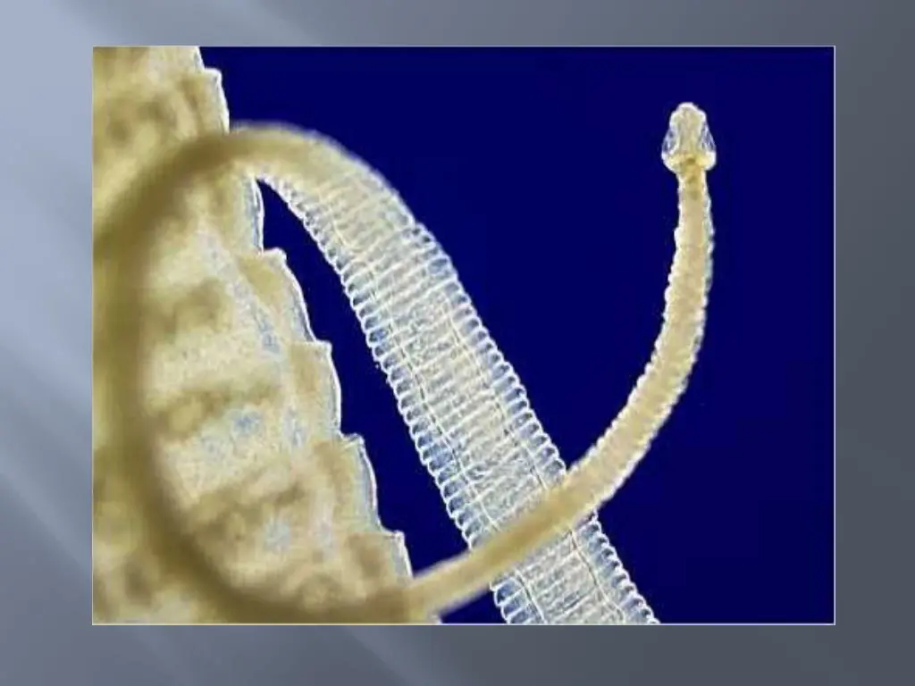 slide48