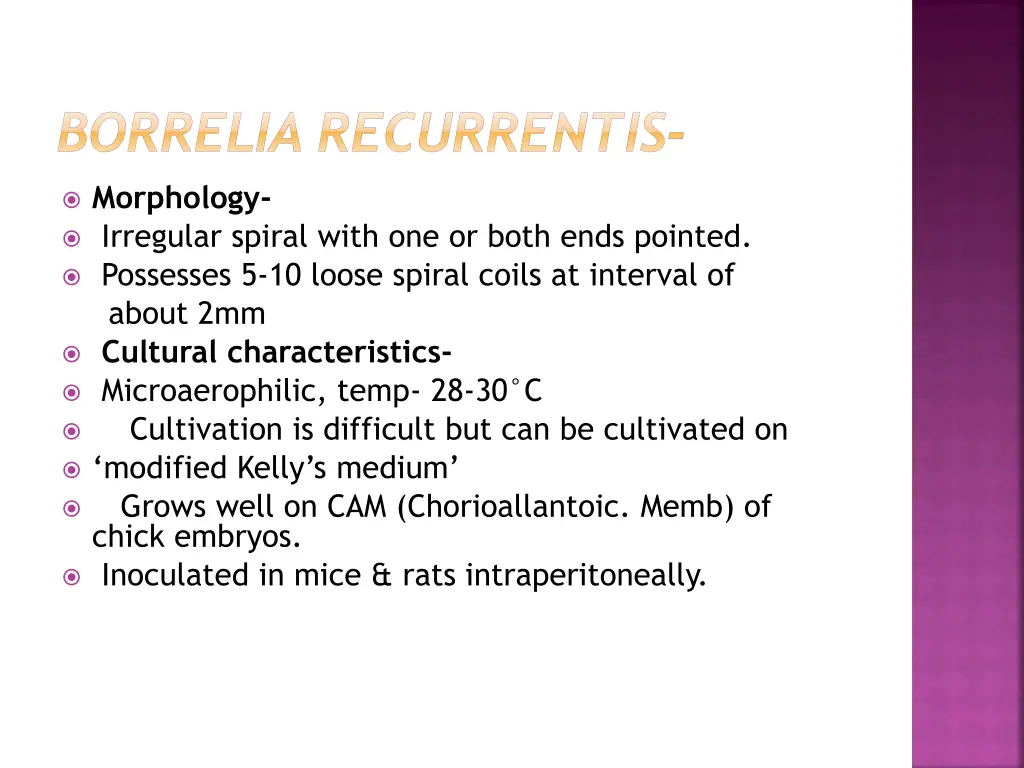 borrelia recurrentis