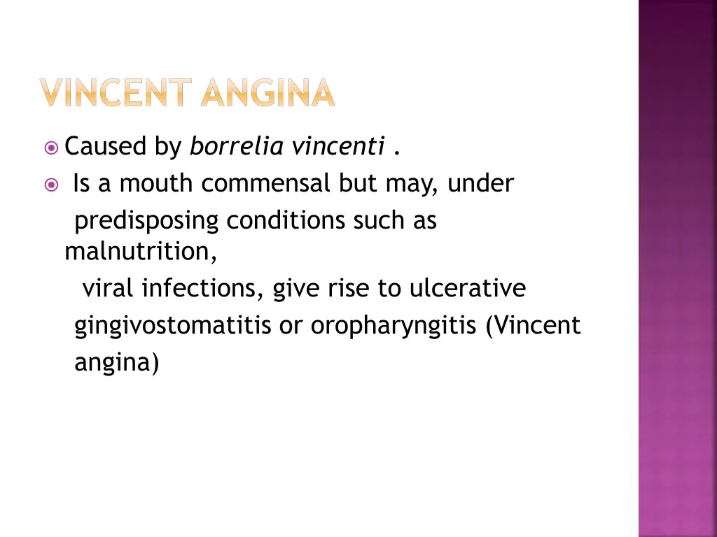 vincent angina