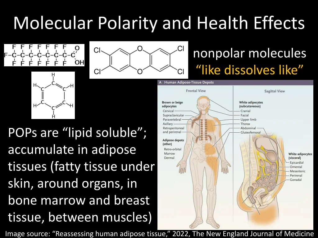 molecular polarity and health effects 1