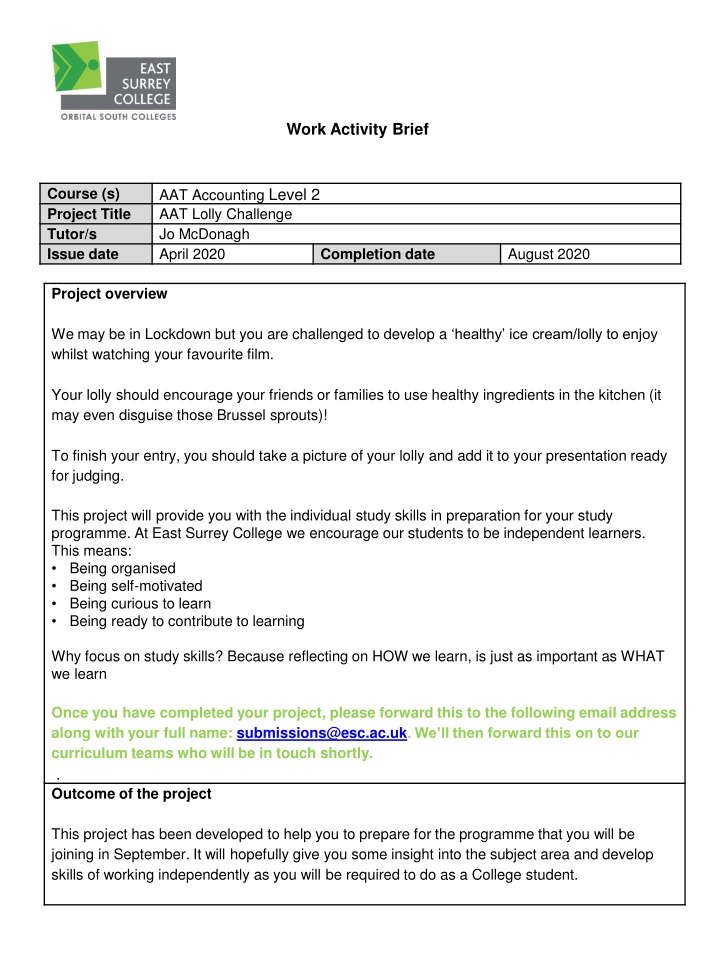 work activity brief