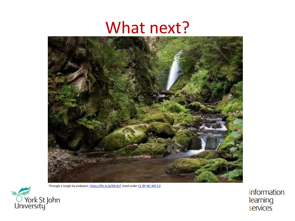 what next
