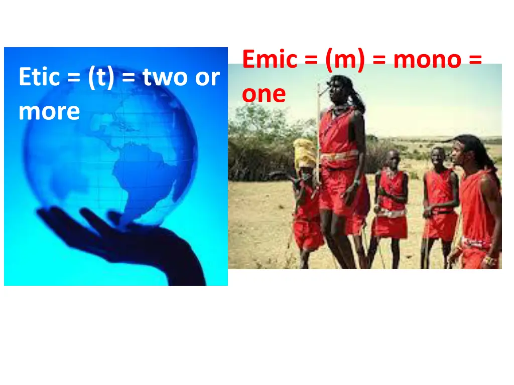 emic m mono one