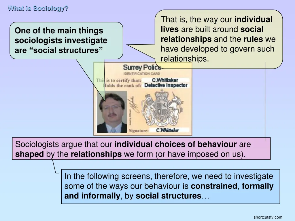 what is sociology 6