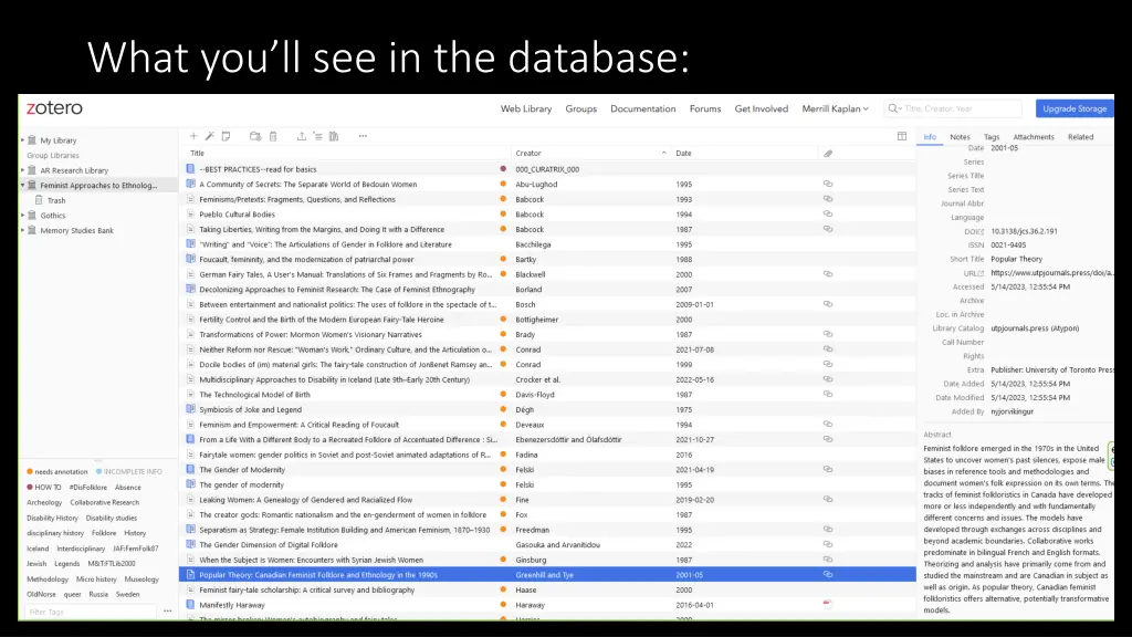 what you ll see in the database