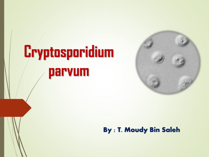 cryptosporidium parvum