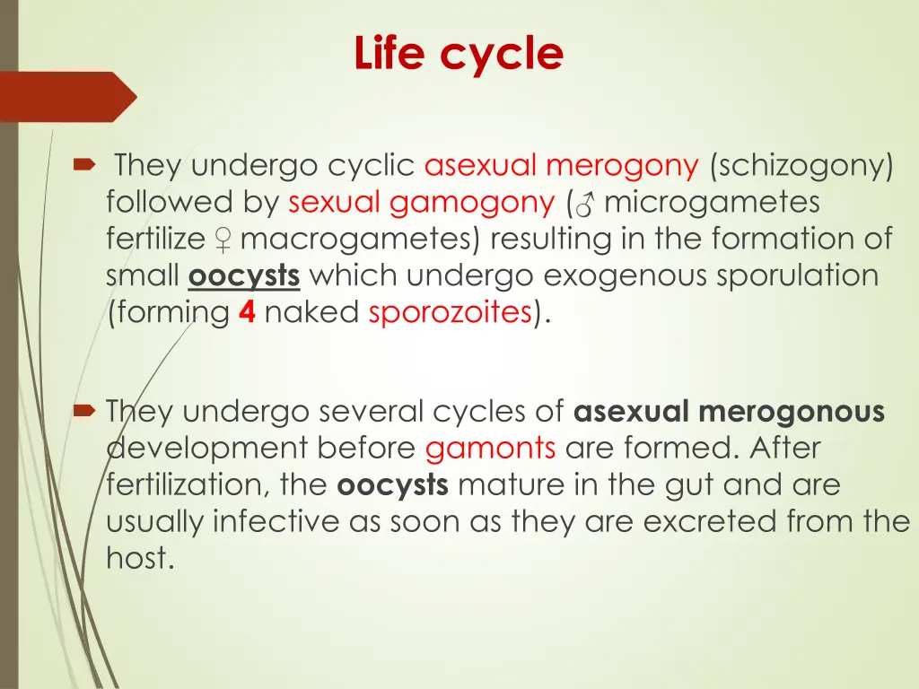 life cycle 1