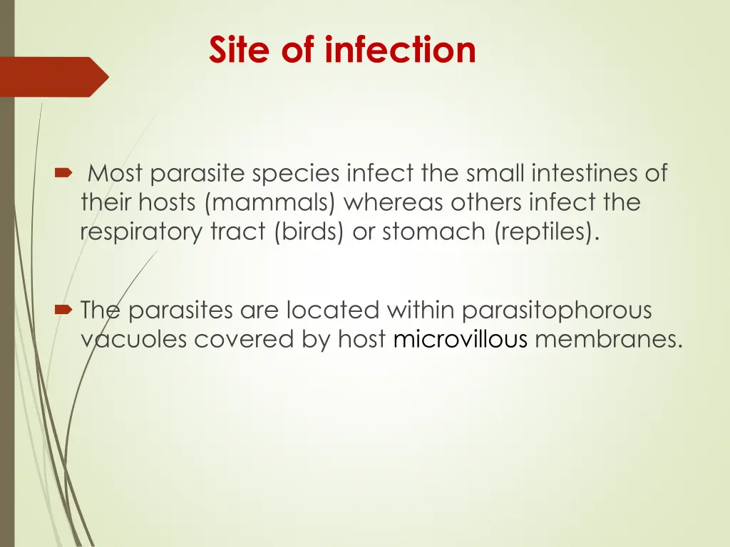site of infection