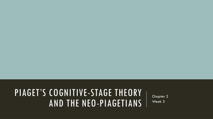 piaget s cognitive stage theory