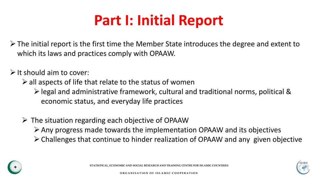 part i initial report