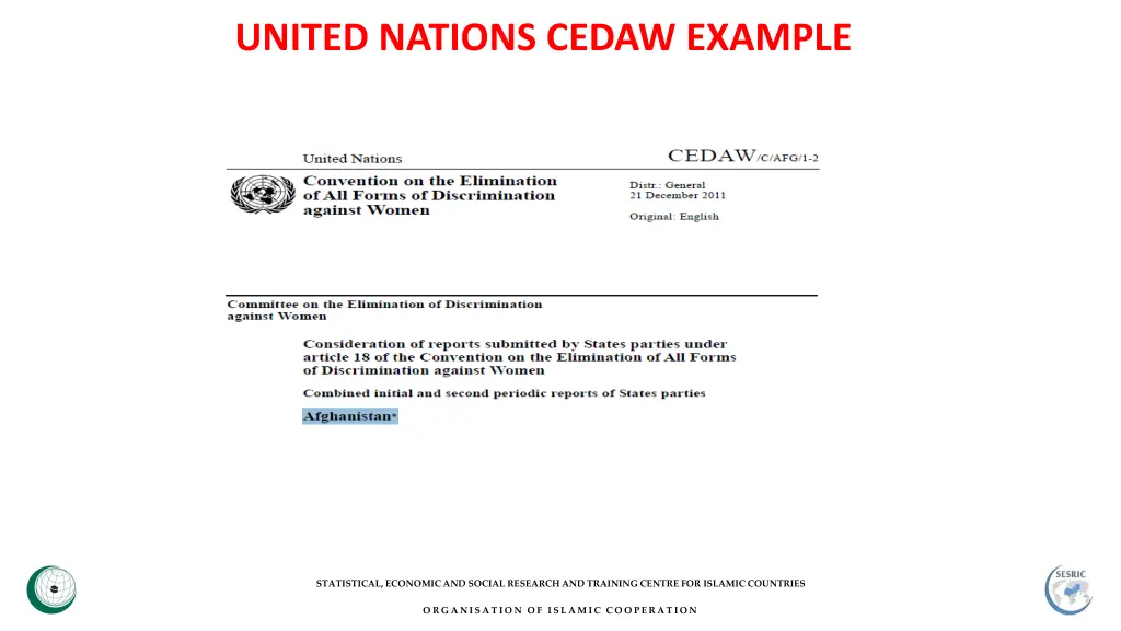 united nations cedaw example