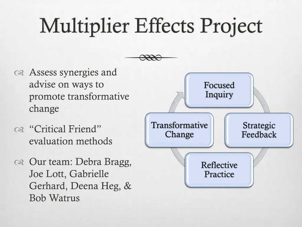multiplier effects project