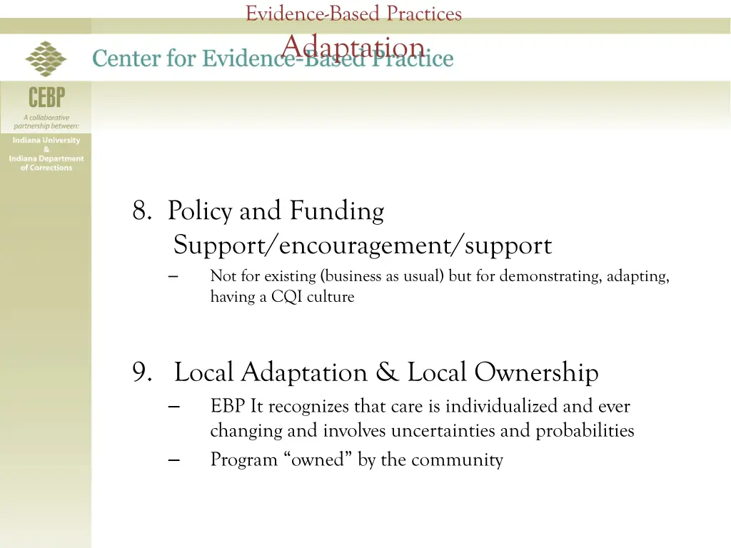 evidence based practices adaptation
