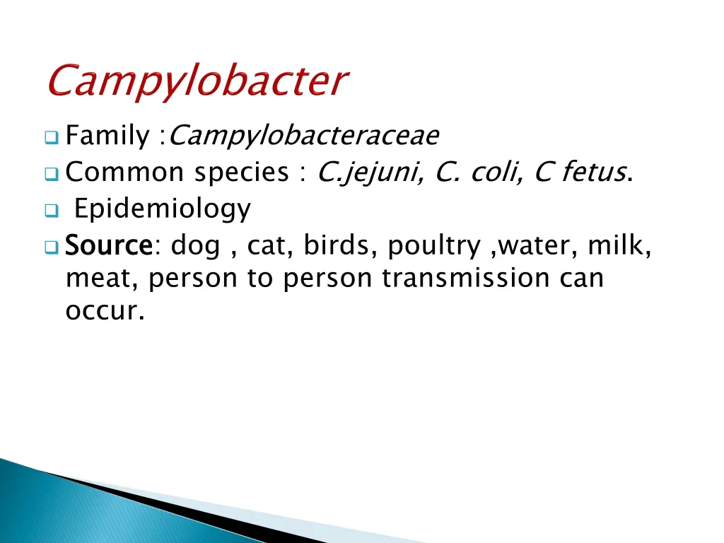 family campylobacteraceae common species c jejuni