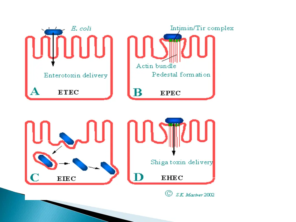 slide31