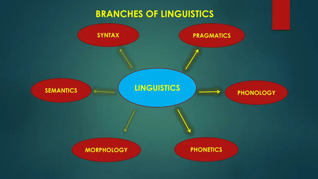 branches of linguistics 1