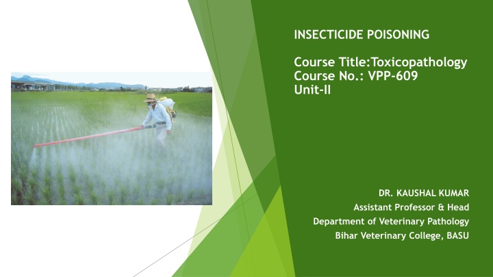 insecticide poisoning