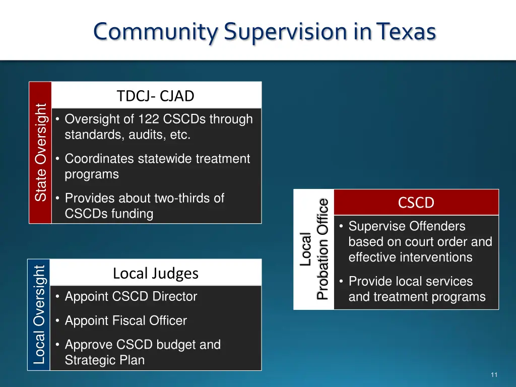 community supervision in texas