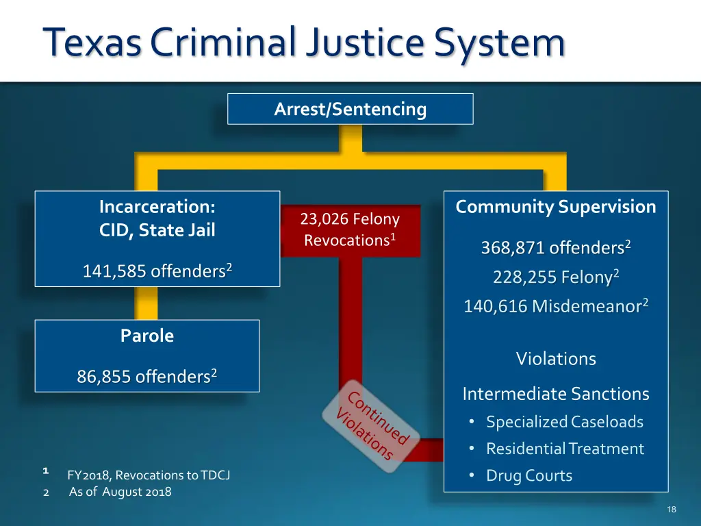 texas criminal justice system
