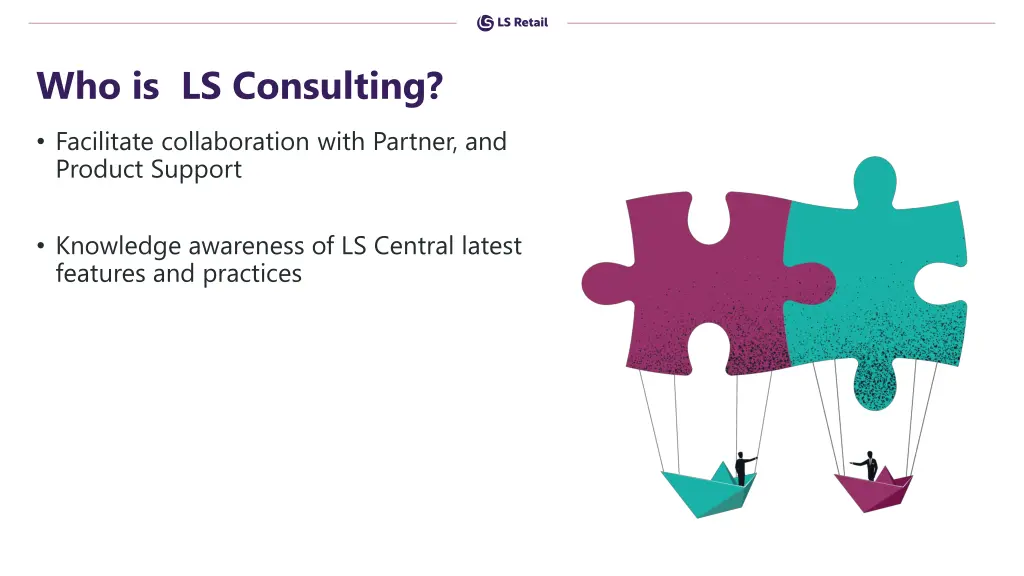 who is ls consulting 1