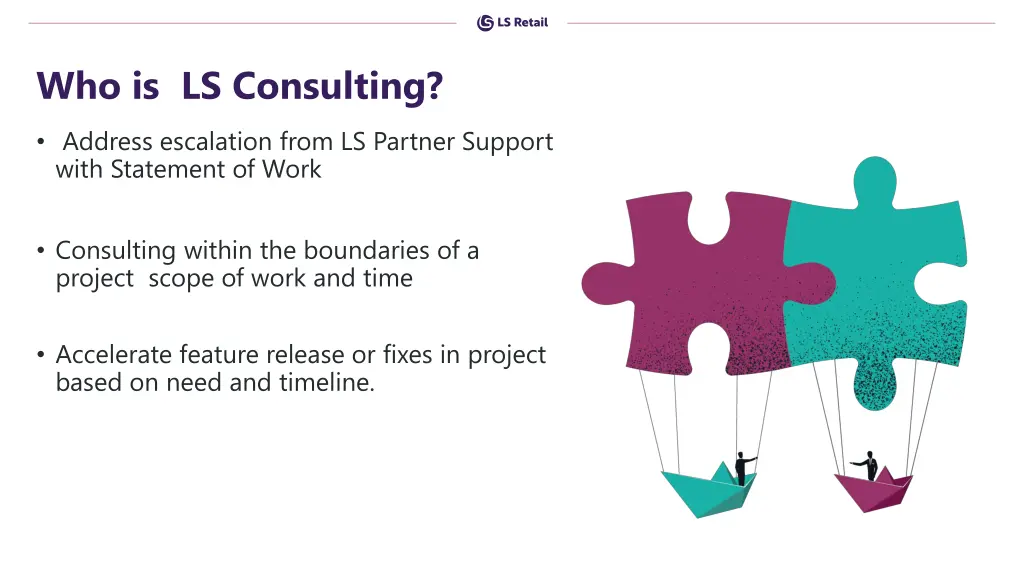 who is ls consulting