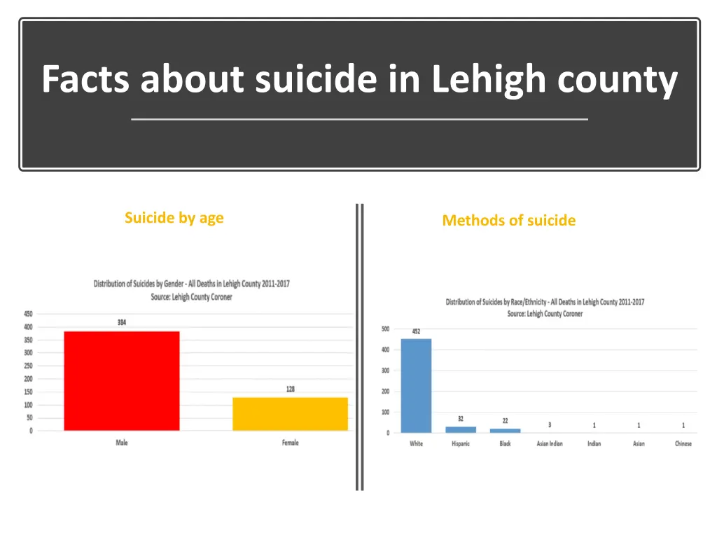 facts about suicide in lehigh county 1