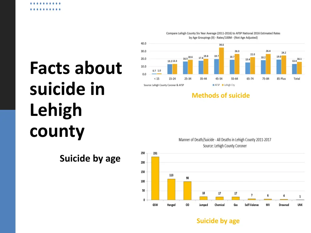 facts about suicide in lehigh county