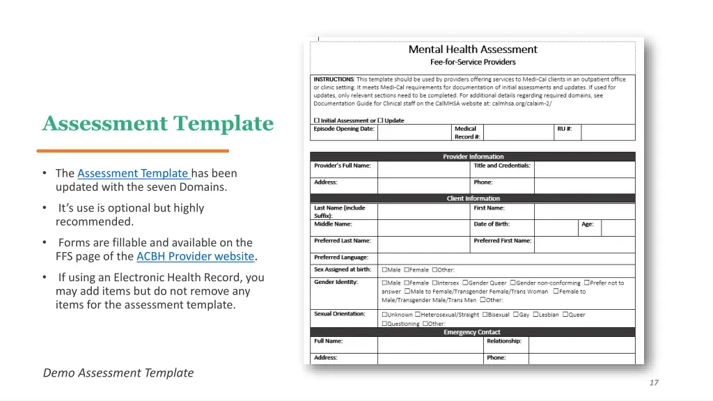 assessment template
