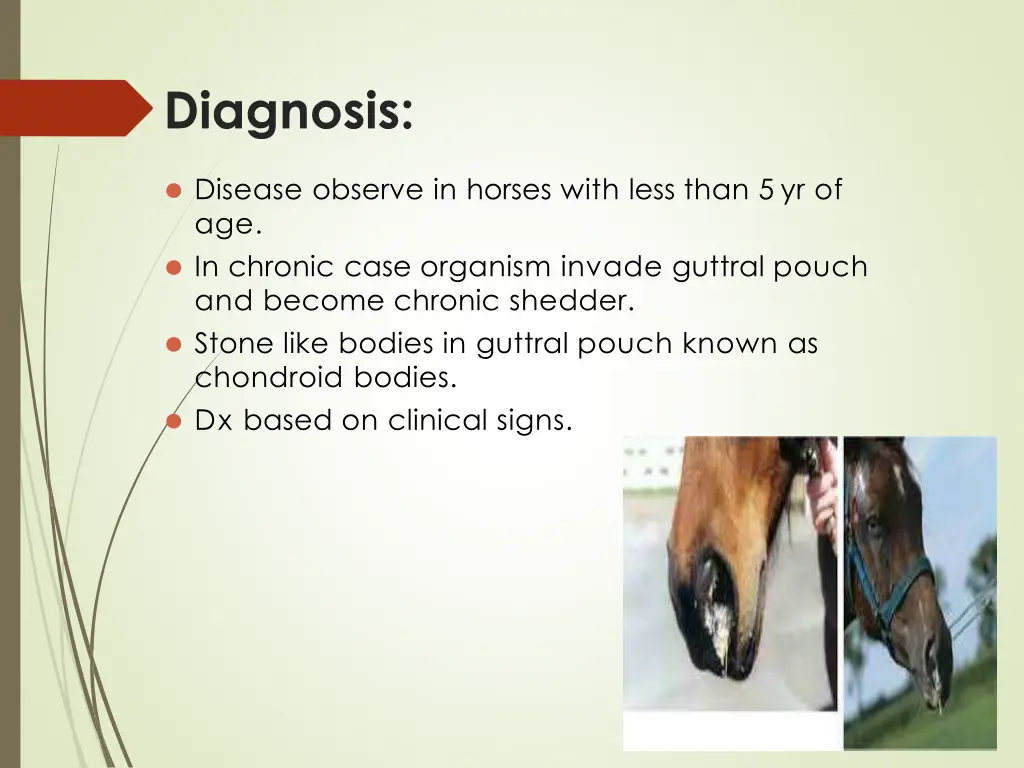 diagnosis