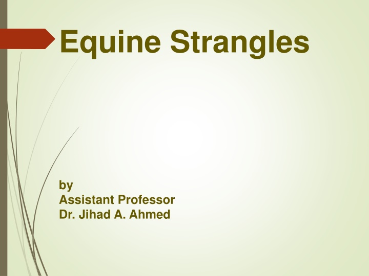 equine strangles