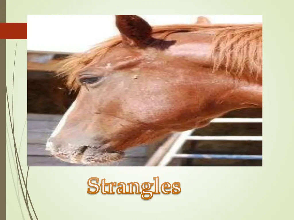slide10