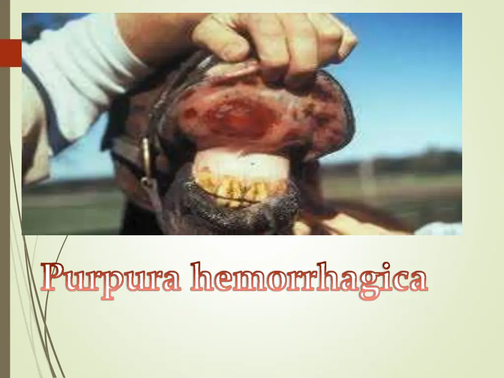 slide12