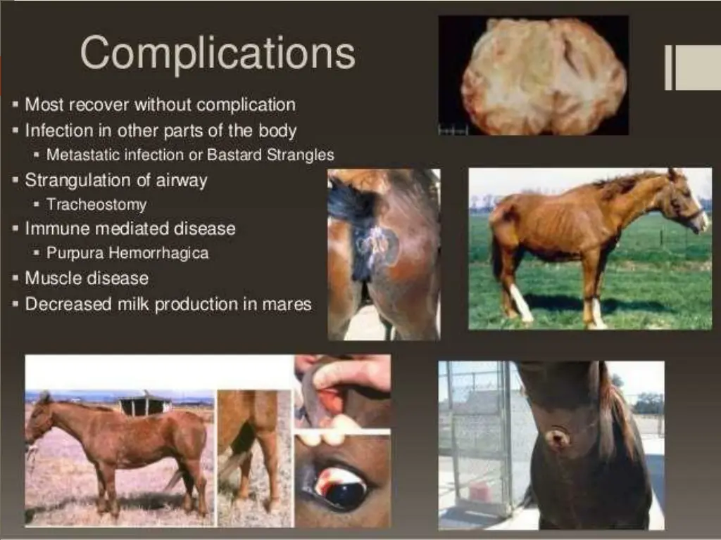 slide14