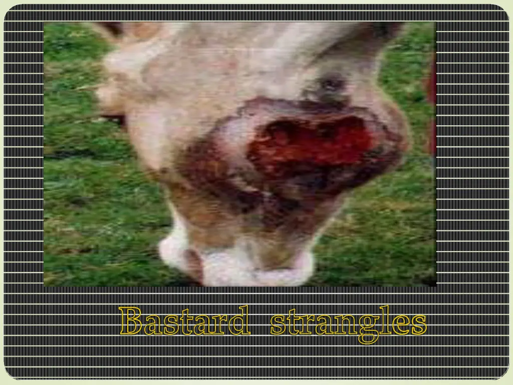 slide15